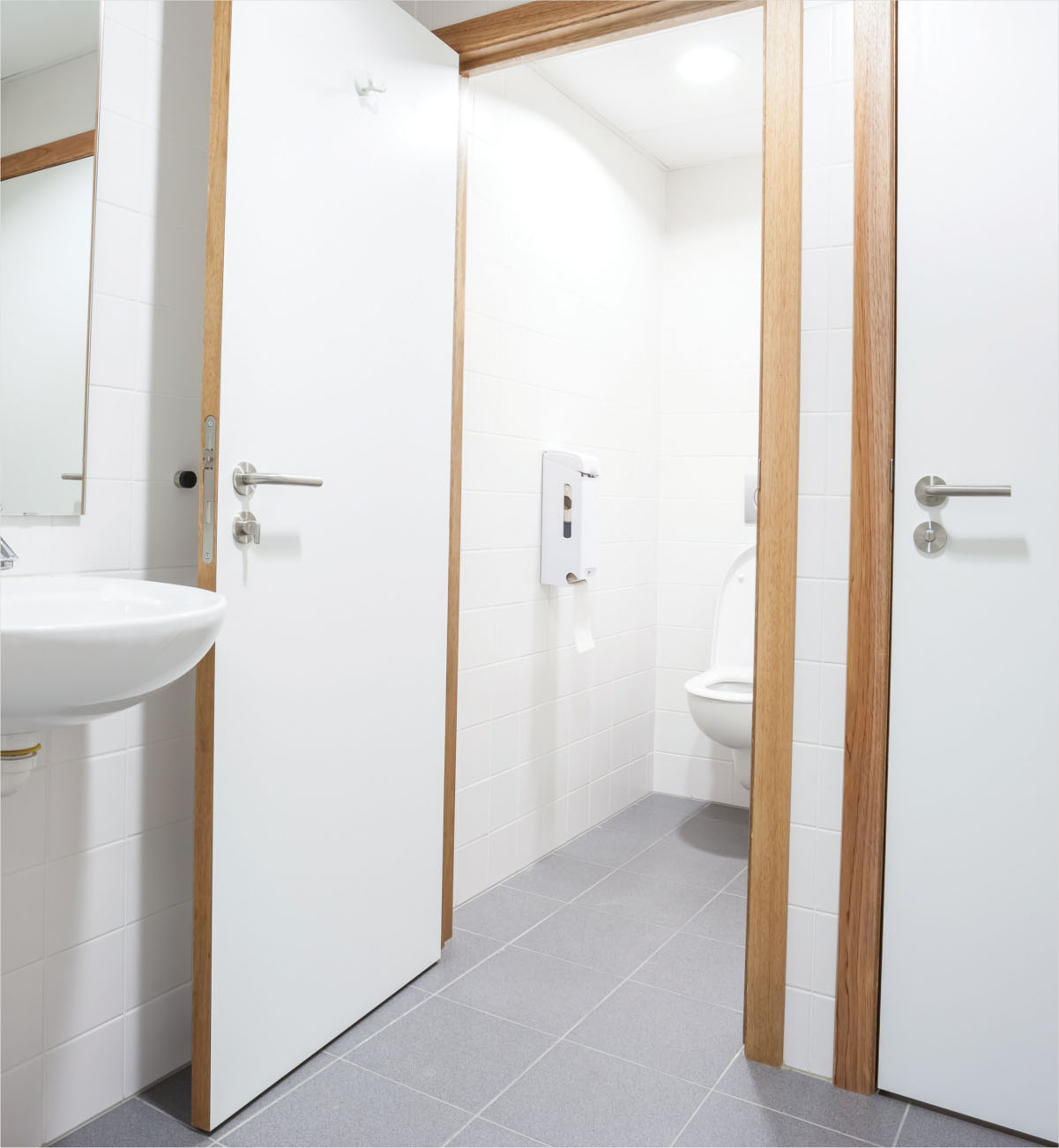 SAMRAT FLUSH DOOR
